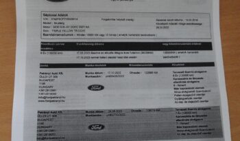 FORD MUSTANG Fastback 5.0 Ti-VCT V8 GT (Automata) BŐR-NAVI-F1-KAMERA-EURÓPAI MODELL! teljes